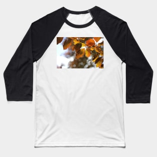 Copper Beech Baseball T-Shirt